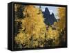 Colorado, Rocky Mts, Uncompahgre Nf. Fall Colors of Aspen Trees-Christopher Talbot Frank-Framed Stretched Canvas