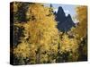 Colorado, Rocky Mts, Uncompahgre Nf. Fall Colors of Aspen Trees-Christopher Talbot Frank-Stretched Canvas