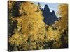Colorado, Rocky Mts, Uncompahgre Nf. Fall Colors of Aspen Trees-Christopher Talbot Frank-Stretched Canvas
