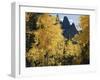 Colorado, Rocky Mts, Uncompahgre Nf. Fall Colors of Aspen Trees-Christopher Talbot Frank-Framed Premium Photographic Print