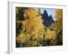 Colorado, Rocky Mts, Uncompahgre Nf. Fall Colors of Aspen Trees-Christopher Talbot Frank-Framed Photographic Print