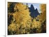 Colorado, Rocky Mts, Uncompahgre Nf. Fall Colors of Aspen Trees-Christopher Talbot Frank-Framed Photographic Print