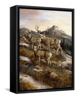 Colorado Royalty-Trevor V. Swanson-Framed Stretched Canvas