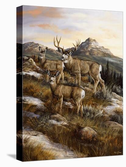 Colorado Royalty-Trevor V. Swanson-Stretched Canvas