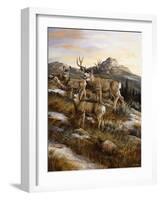 Colorado Royalty-Trevor V. Swanson-Framed Giclee Print