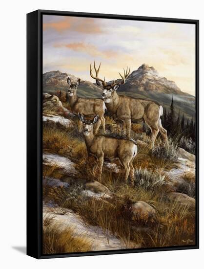 Colorado Royalty-Trevor V. Swanson-Framed Stretched Canvas