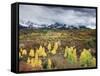 Colorado, San Juan Mountains, a Storm over Aspens at the Dallas Divide-Christopher Talbot Frank-Framed Stretched Canvas