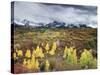 Colorado, San Juan Mountains, a Storm over Aspens at the Dallas Divide-Christopher Talbot Frank-Stretched Canvas