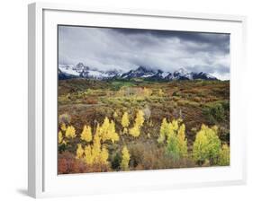 Colorado, San Juan Mountains, a Storm over Aspens at the Dallas Divide-Christopher Talbot Frank-Framed Photographic Print