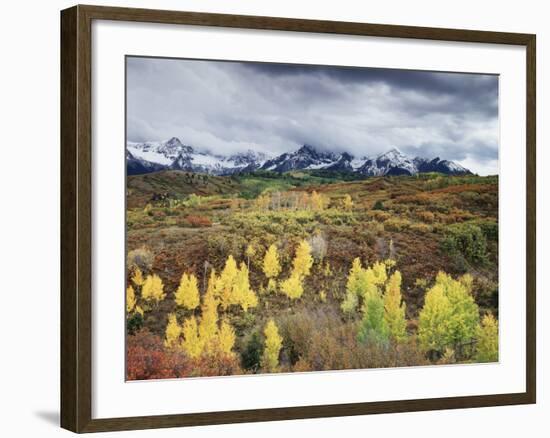 Colorado, San Juan Mountains, a Storm over Aspens at the Dallas Divide-Christopher Talbot Frank-Framed Photographic Print