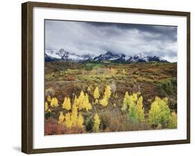 Colorado, San Juan Mountains, a Storm over Aspens at the Dallas Divide-Christopher Talbot Frank-Framed Photographic Print