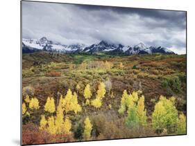 Colorado, San Juan Mountains, a Storm over Aspens at the Dallas Divide-Christopher Talbot Frank-Mounted Photographic Print