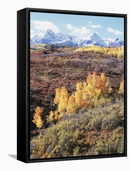 Colorado, San Juan Mountains, Autumn Colors of Aspen at Dallas Divide-Christopher Talbot Frank-Framed Stretched Canvas