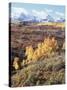 Colorado, San Juan Mountains, Autumn Colors of Aspen at Dallas Divide-Christopher Talbot Frank-Stretched Canvas