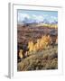 Colorado, San Juan Mountains, Autumn Colors of Aspen at Dallas Divide-Christopher Talbot Frank-Framed Photographic Print