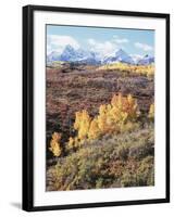 Colorado, San Juan Mountains, Autumn Colors of Aspen at Dallas Divide-Christopher Talbot Frank-Framed Photographic Print