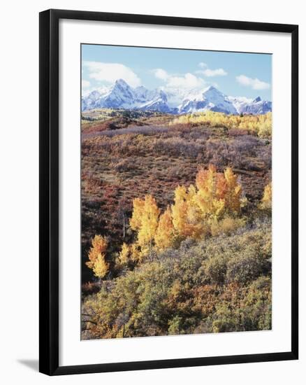 Colorado, San Juan Mountains, Autumn Colors of Aspen at Dallas Divide-Christopher Talbot Frank-Framed Photographic Print