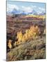 Colorado, San Juan Mountains, Autumn Colors of Aspen at Dallas Divide-Christopher Talbot Frank-Mounted Photographic Print