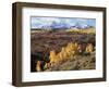 Colorado, San Juan Mountains, Autumn Colors of Aspen at Dallas Divide-Christopher Talbot Frank-Framed Photographic Print