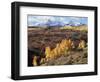 Colorado, San Juan Mountains, Autumn Colors of Aspen at Dallas Divide-Christopher Talbot Frank-Framed Photographic Print