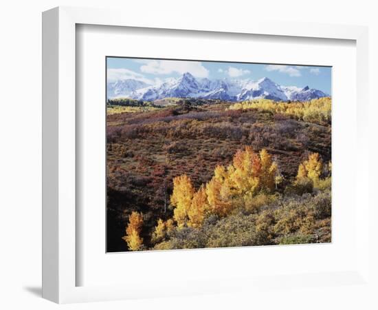 Colorado, San Juan Mountains, Autumn Colors of Aspen at Dallas Divide-Christopher Talbot Frank-Framed Photographic Print