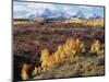 Colorado, San Juan Mountains, Autumn Colors of Aspen at Dallas Divide-Christopher Talbot Frank-Mounted Photographic Print