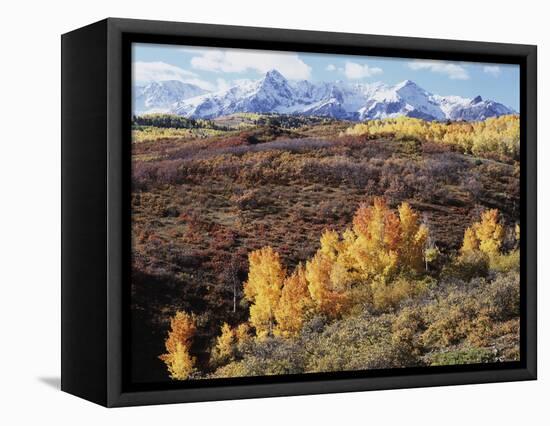 Colorado, San Juan Mountains, Autumn Colors of Aspen at Dallas Divide-Christopher Talbot Frank-Framed Stretched Canvas