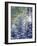 Colorado, San Juan Mountains, First Snow in the Forest-Christopher Talbot Frank-Framed Photographic Print
