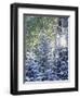 Colorado, San Juan Mountains, First Snow in the Forest-Christopher Talbot Frank-Framed Photographic Print