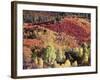 Colorado, San Juan Mountains, Uncompahgre Nf, Autumn Colors-Christopher Talbot Frank-Framed Photographic Print