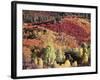 Colorado, San Juan Mountains, Uncompahgre Nf, Autumn Colors-Christopher Talbot Frank-Framed Photographic Print