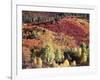 Colorado, San Juan Mountains, Uncompahgre Nf, Autumn Colors-Christopher Talbot Frank-Framed Photographic Print