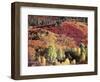 Colorado, San Juan Mountains, Uncompahgre Nf, Autumn Colors-Christopher Talbot Frank-Framed Photographic Print