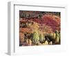 Colorado, San Juan Mountains, Uncompahgre Nf, Autumn Colors-Christopher Talbot Frank-Framed Photographic Print