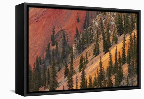 Colorado, San Juan Mts, Colorful Slopes of Anvil Mountain-David Wall-Framed Stretched Canvas