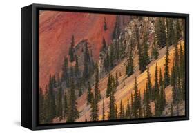 Colorado, San Juan Mts, Colorful Slopes of Anvil Mountain-David Wall-Framed Stretched Canvas