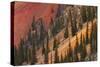 Colorado, San Juan Mts, Colorful Slopes of Anvil Mountain-David Wall-Stretched Canvas