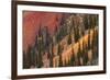 Colorado, San Juan Mts, Colorful Slopes of Anvil Mountain-David Wall-Framed Photographic Print