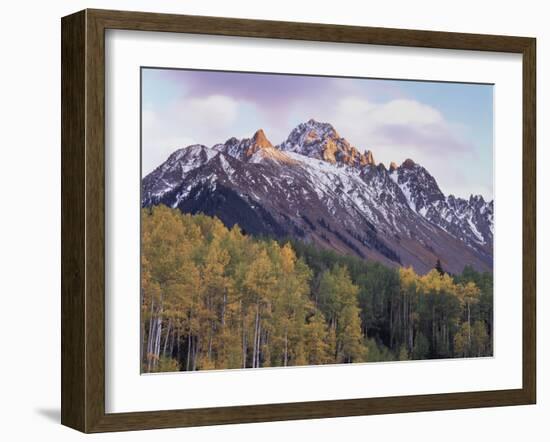 Colorado, San Juan Mts, Fall Colors of Aspen Trees and Mount Sneffels-Christopher Talbot Frank-Framed Premium Photographic Print