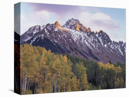 Colorado, San Juan Mts, Fall Colors of Aspen Trees and Mount Sneffels-Christopher Talbot Frank-Stretched Canvas