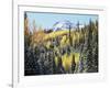 Colorado, San Juan Mts, First Snow and Fall Colors of Aspen Trees-Christopher Talbot Frank-Framed Photographic Print