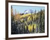 Colorado, San Juan Mts, First Snow and Fall Colors of Aspen Trees-Christopher Talbot Frank-Framed Photographic Print