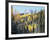 Colorado, San Juan Mts, First Snow and Fall Colors of Aspen Trees-Christopher Talbot Frank-Framed Photographic Print