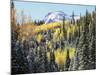 Colorado, San Juan Mts, First Snow and Fall Colors of Aspen Trees-Christopher Talbot Frank-Mounted Photographic Print