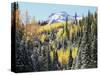 Colorado, San Juan Mts, First Snow and Fall Colors of Aspen Trees-Christopher Talbot Frank-Stretched Canvas