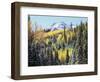 Colorado, San Juan Mts, First Snow and Fall Colors of Aspen Trees-Christopher Talbot Frank-Framed Photographic Print