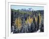 Colorado, San Juan Mts, First Snow and Fall Colors of the Forest-Christopher Talbot Frank-Framed Photographic Print