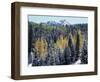 Colorado, San Juan Mts, First Snow and Fall Colors of the Forest-Christopher Talbot Frank-Framed Photographic Print