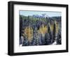 Colorado, San Juan Mts, First Snow and Fall Colors of the Forest-Christopher Talbot Frank-Framed Photographic Print