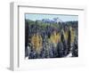 Colorado, San Juan Mts, First Snow and Fall Colors of the Forest-Christopher Talbot Frank-Framed Photographic Print